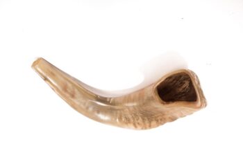9" - 13" ram's horn shofar fully polished, half polished, or all-natural. 